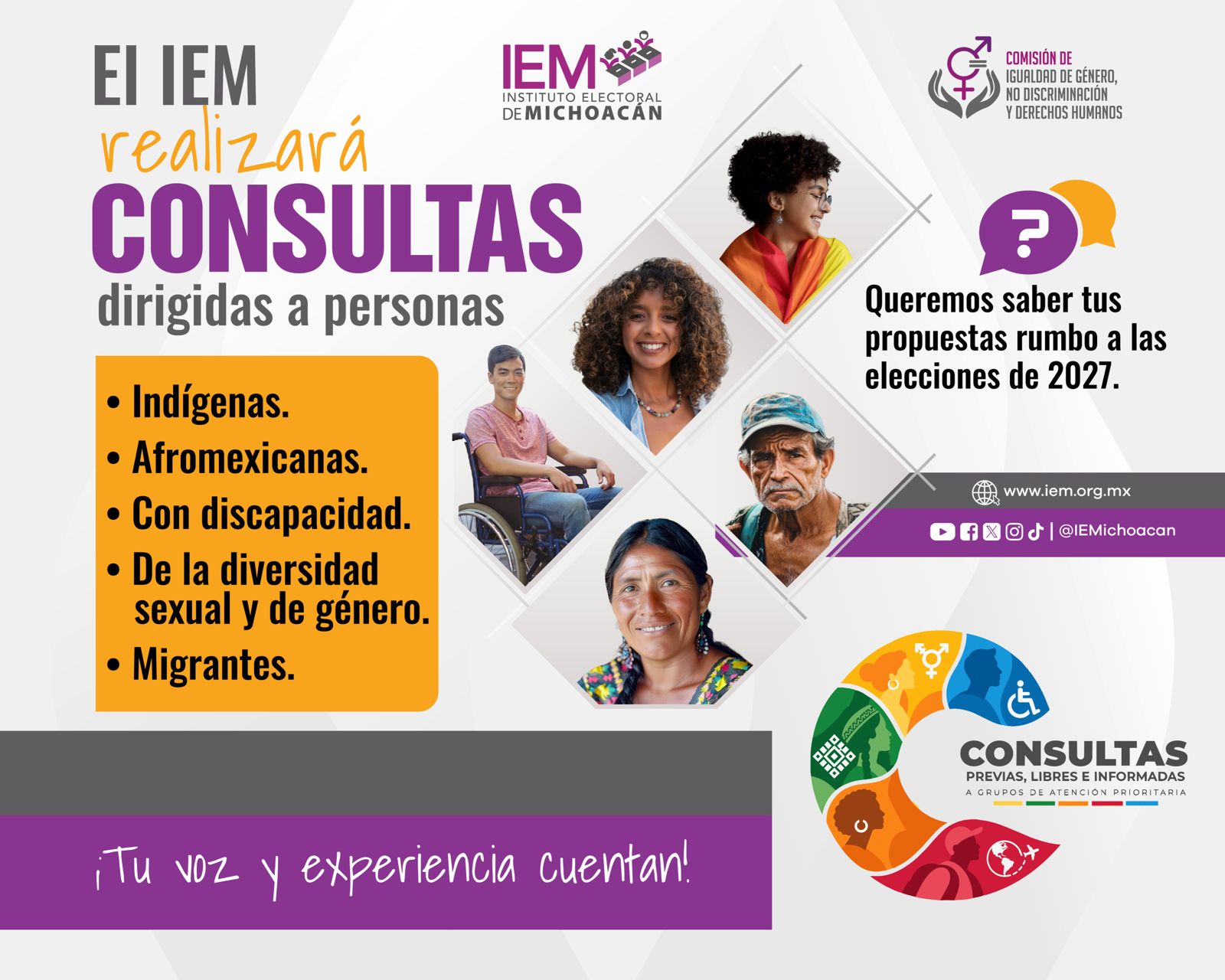 Difusión Consultas Acciones Afirnativas
