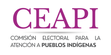 Logotipo CEAPI