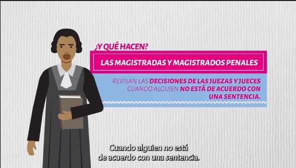 Magistraturas Penales